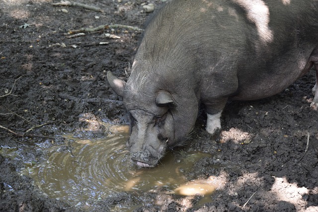 在这个充满 在这个充满