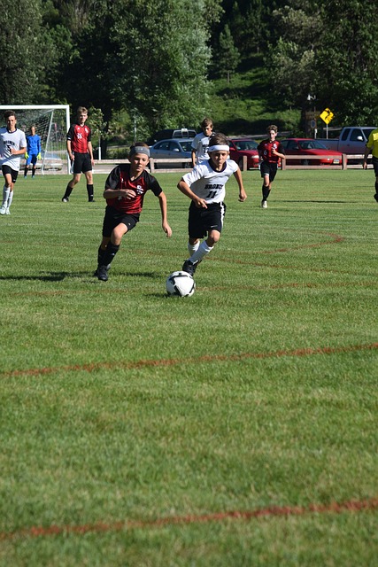 尤其是新一 尤其是新一