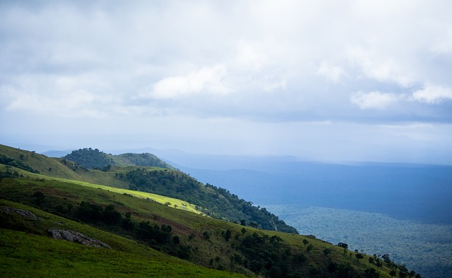 便能在一定 便能在一定