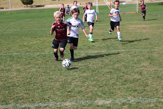 稳固前八 稳固前八